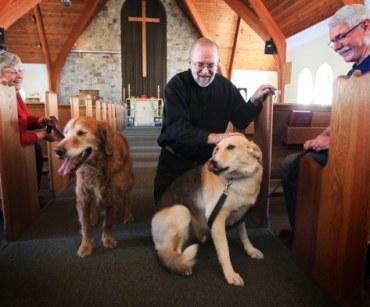 Un cane in chiesa